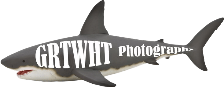 GREAT WHITE PHOTOGRAPHY LOGO